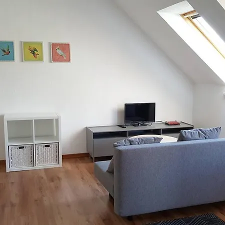 L Sudvorstadt-tolle Whg.+ Lift Apartment